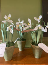 Load image into Gallery viewer, Potted Paper Snowdrops
