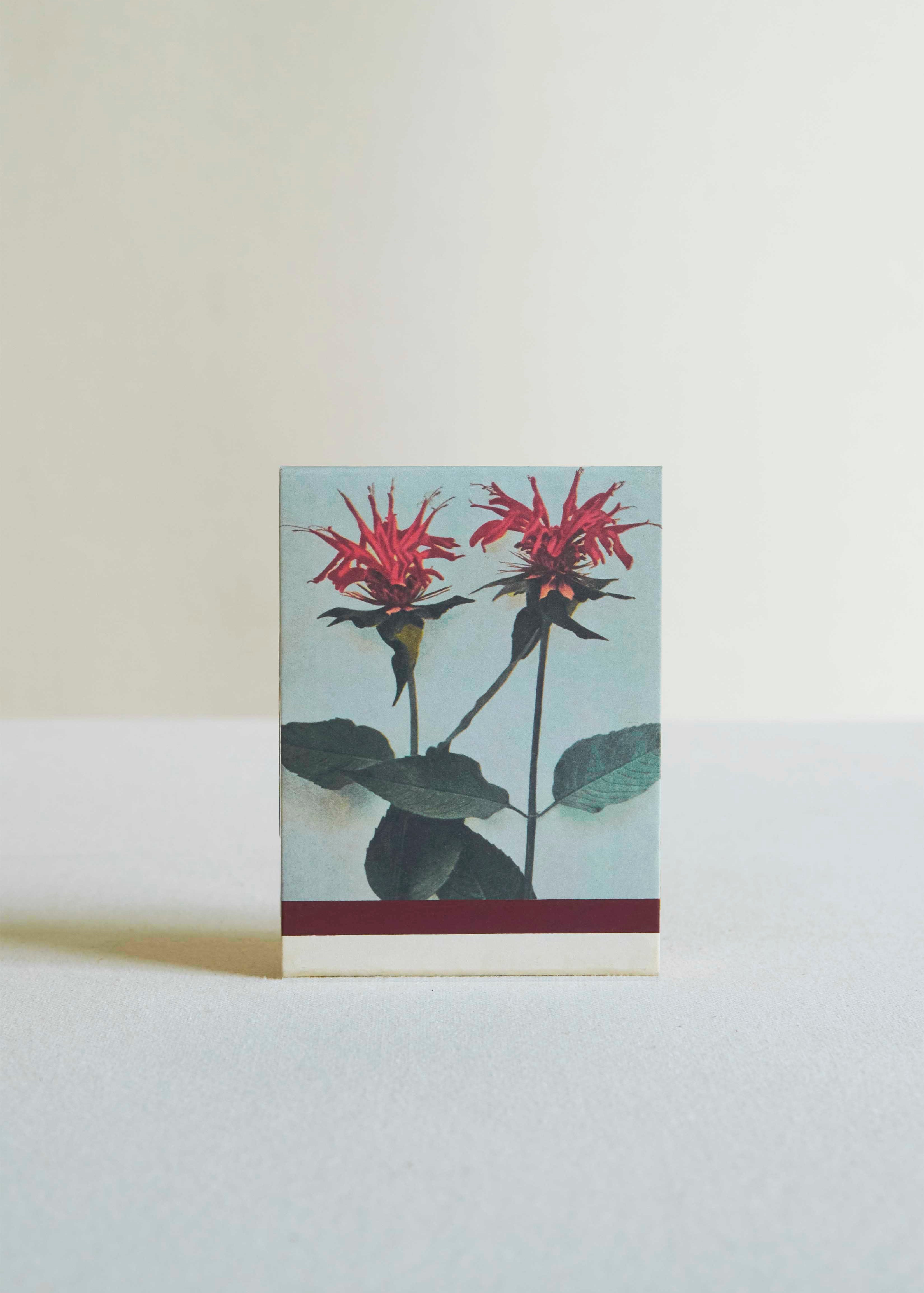 Botanical Candle Collection