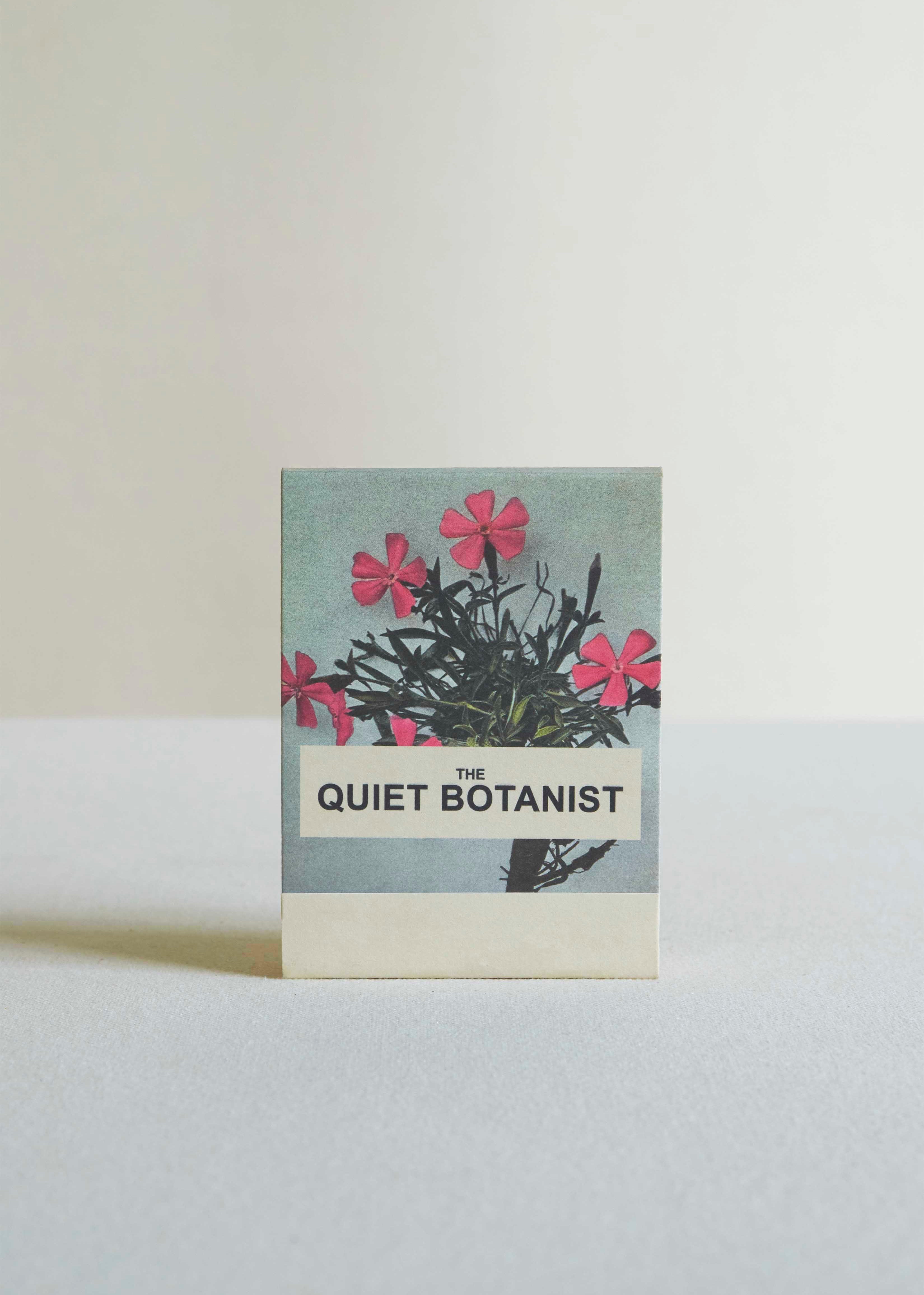 Wild Pink (Silene caroliniana) Botanical Matches
