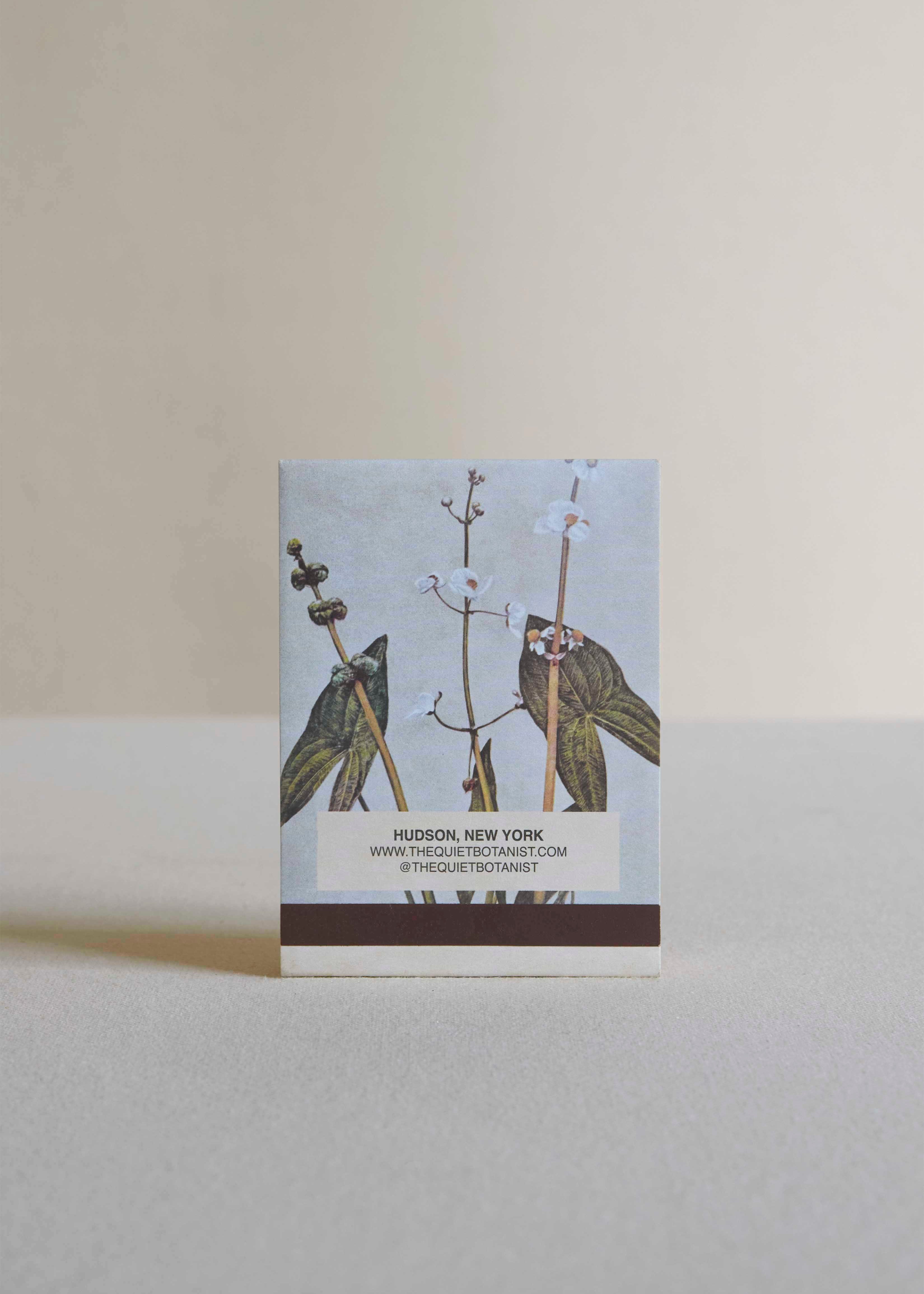 Citronella, Saffron & Ginger Candle