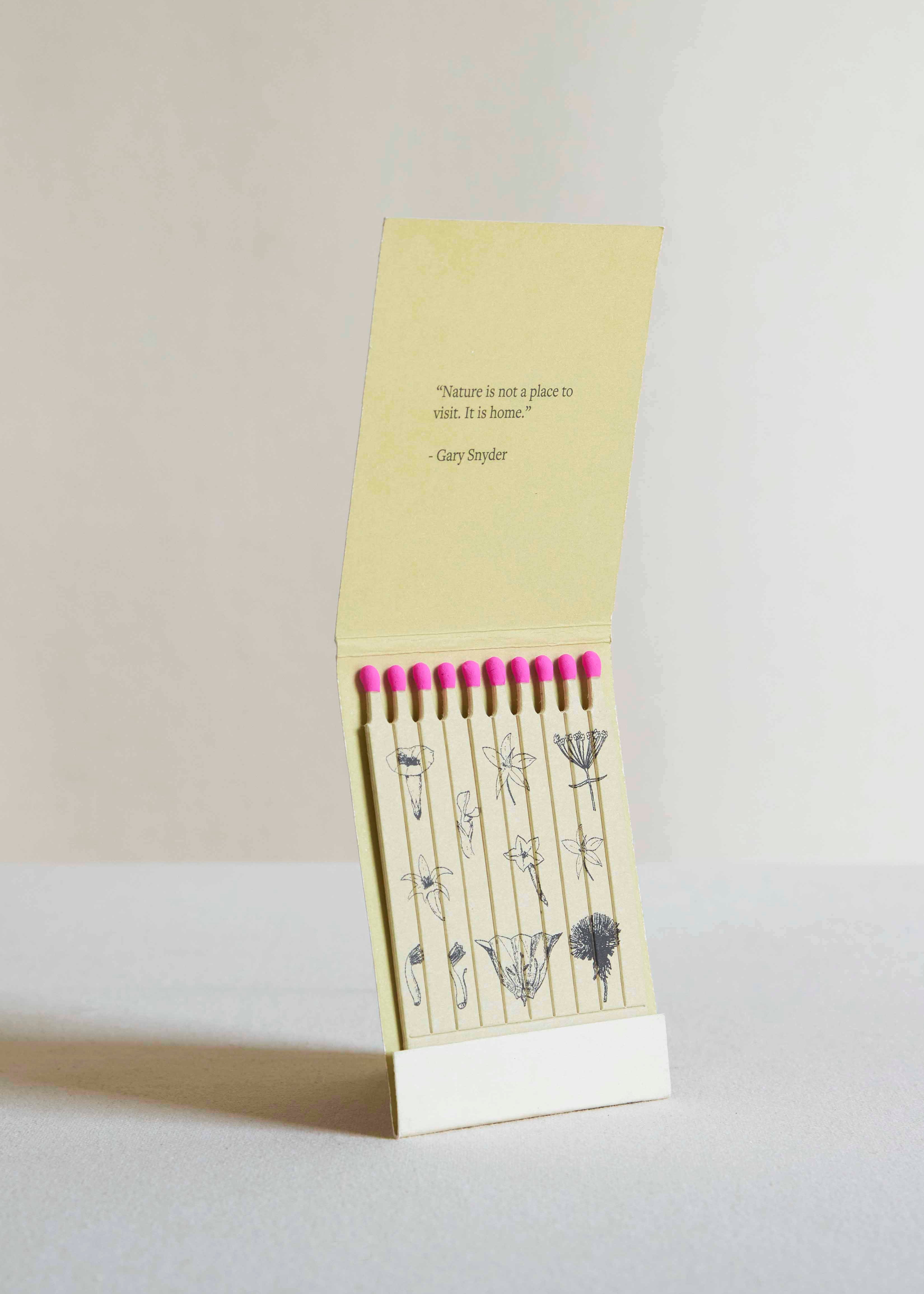 Wild Pink (Silene caroliniana) Botanical Matches