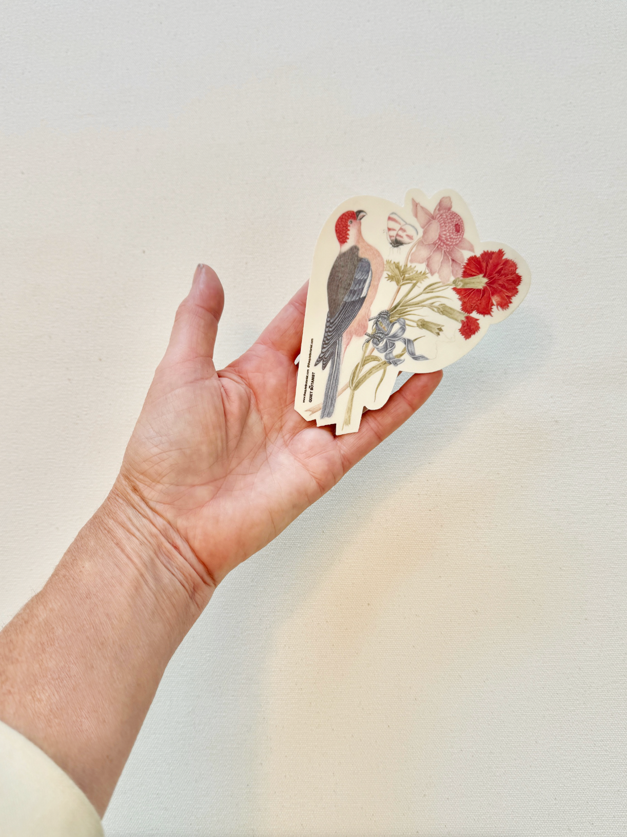 Bird sticker