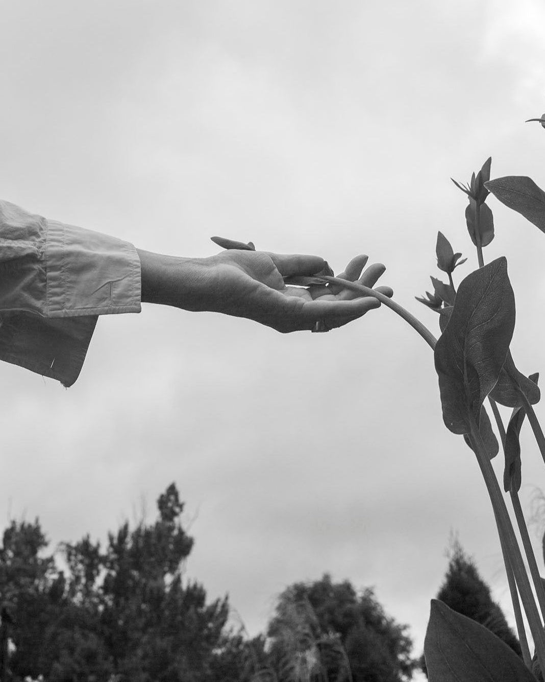 The Botanist Gift Card