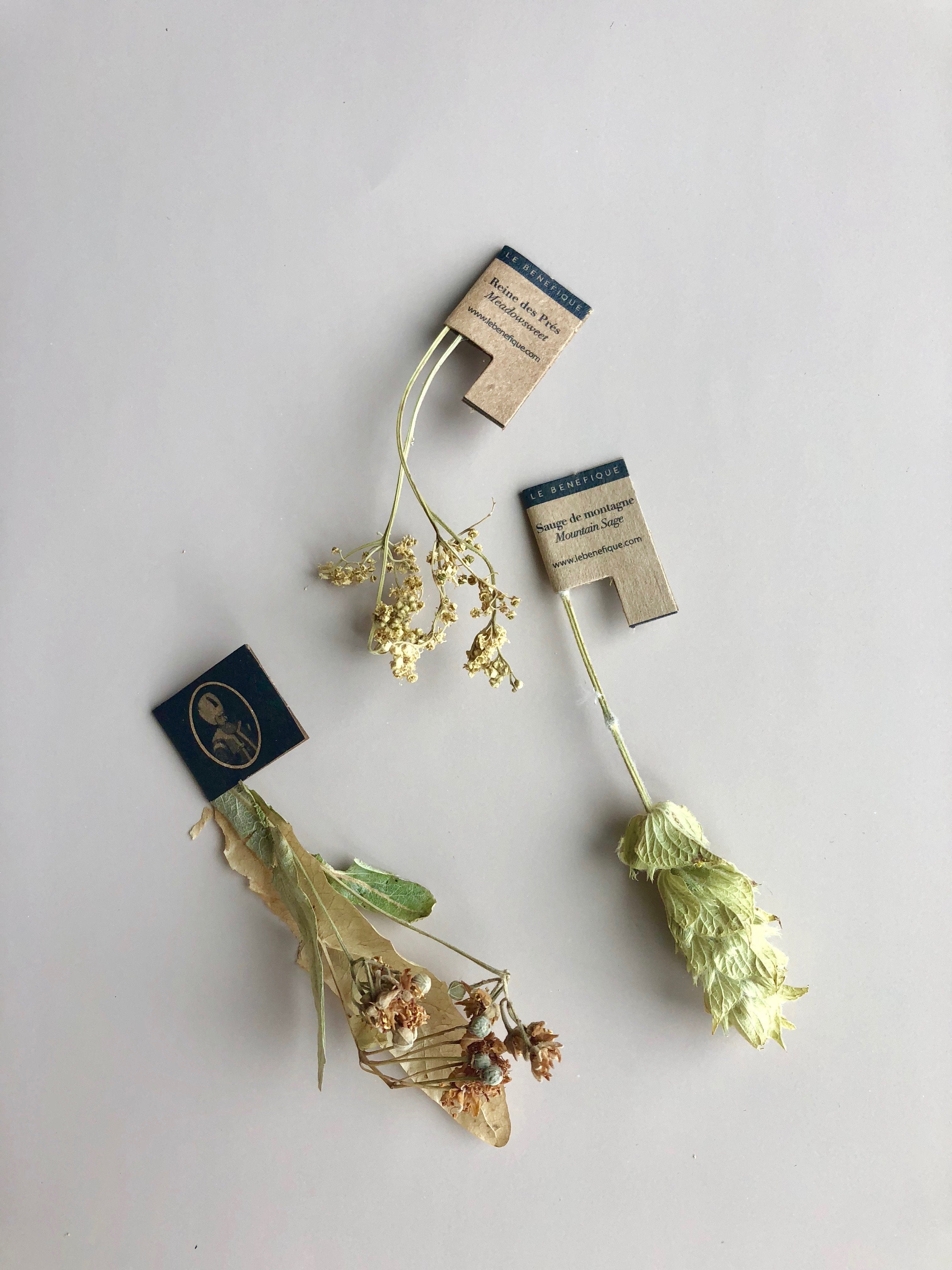 Le Benefique Single Stem