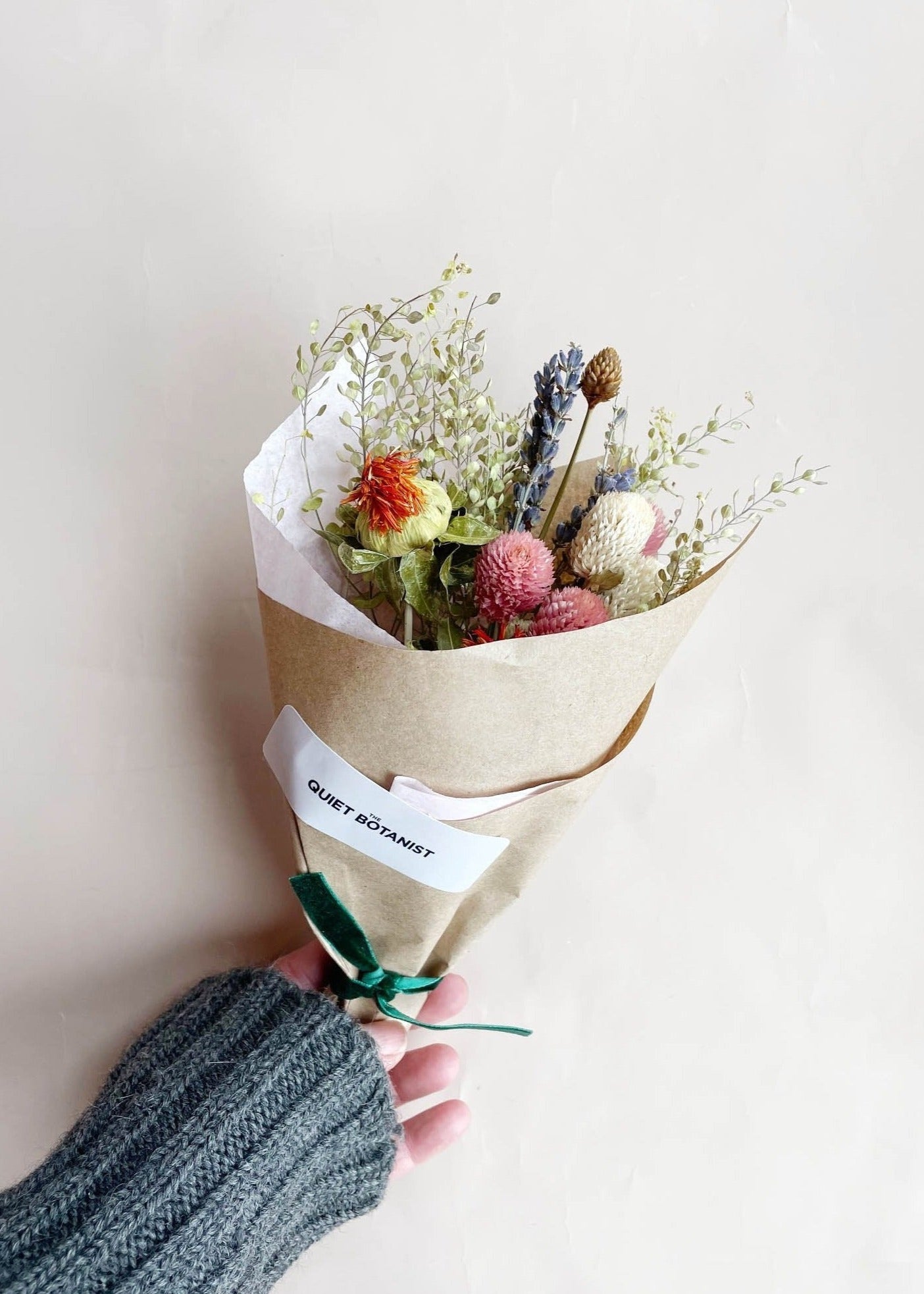 The Mini Botanist
