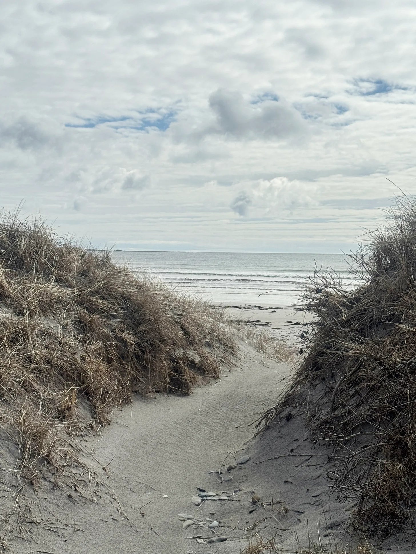 Sandy path through windswept dunes opening to a quiet shoreline under a soft, cloud-filled sky.