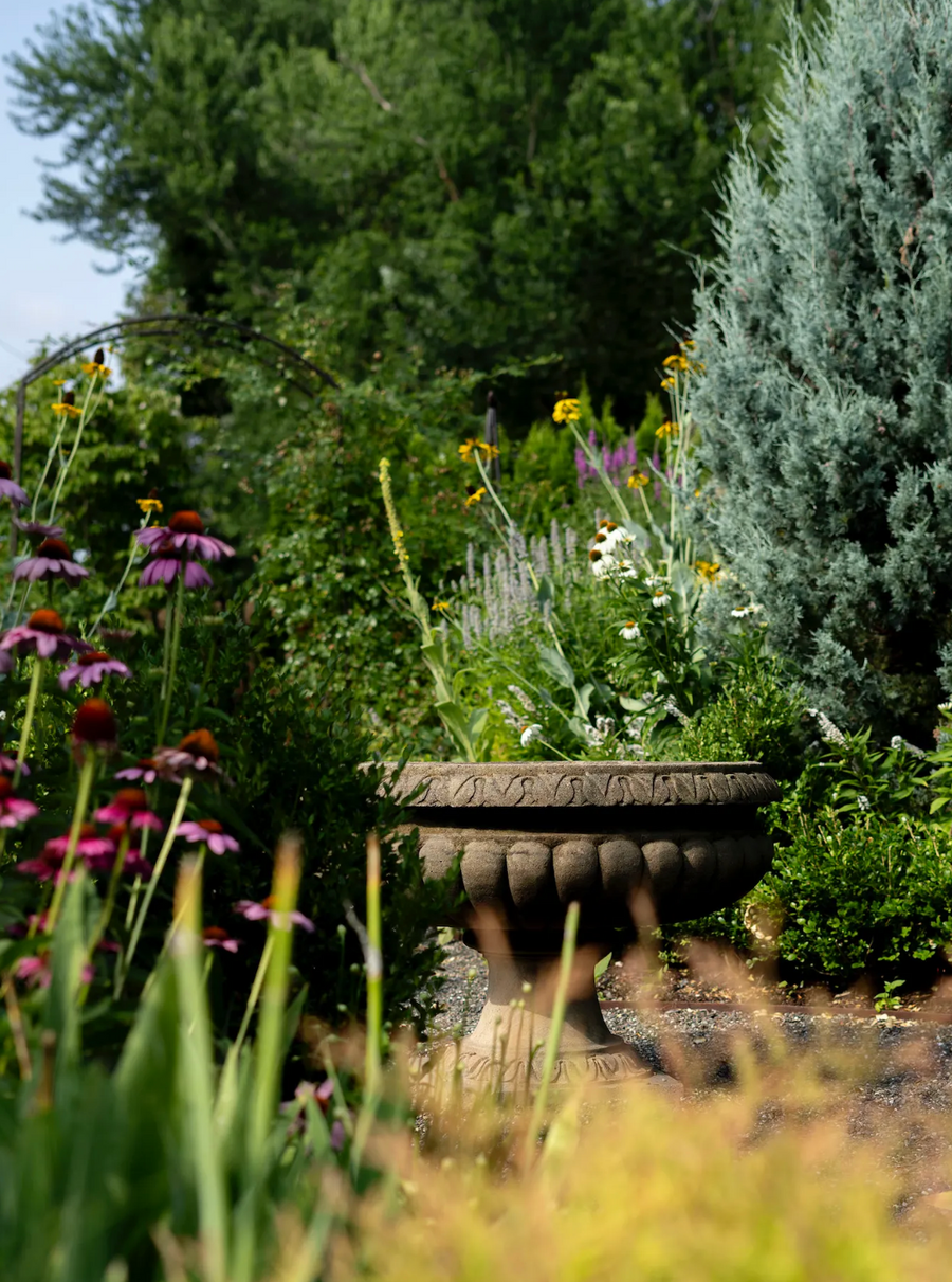 Anyone Can Garden