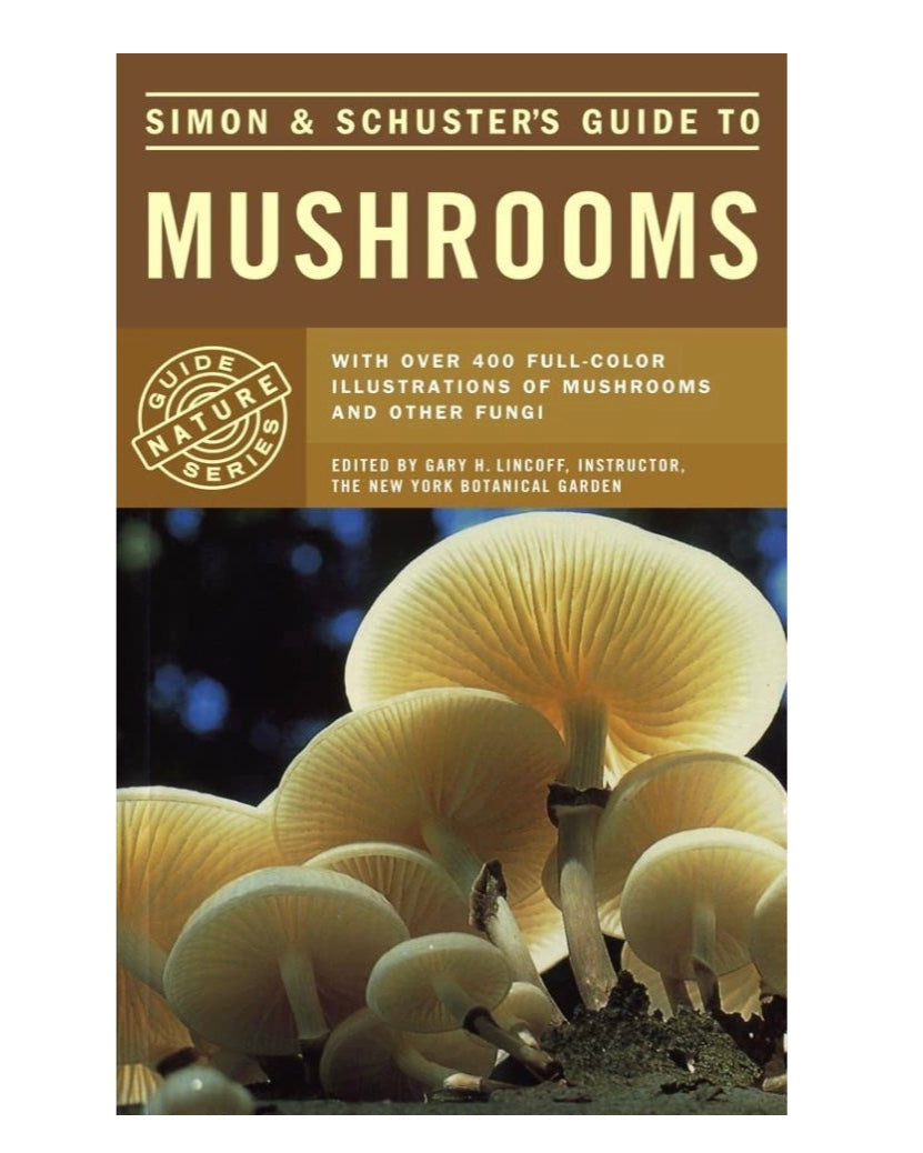 Guide to Mushrooms