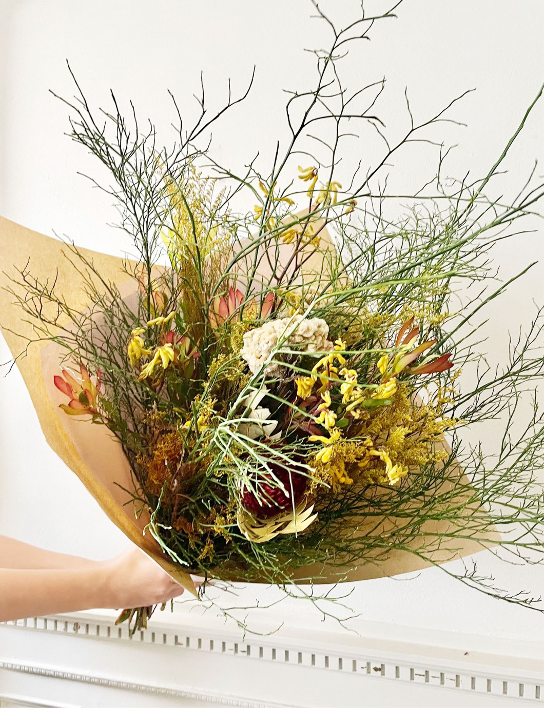 The Aussie Botanist