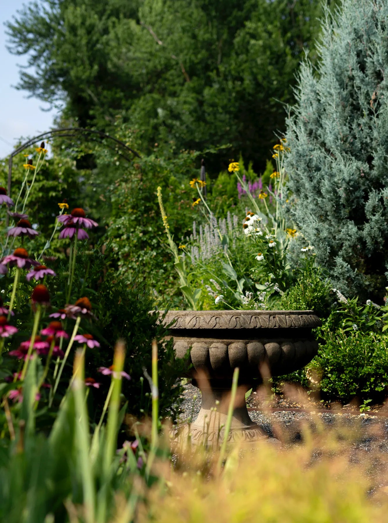 Garden Stories - Green Fig Candle