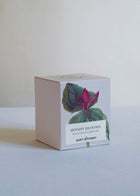 Botanical Candle Collection
