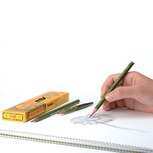 Load image into Gallery viewer, Tombow 8900 Drawing Pencils
