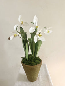 Potted Paper Snowdrops