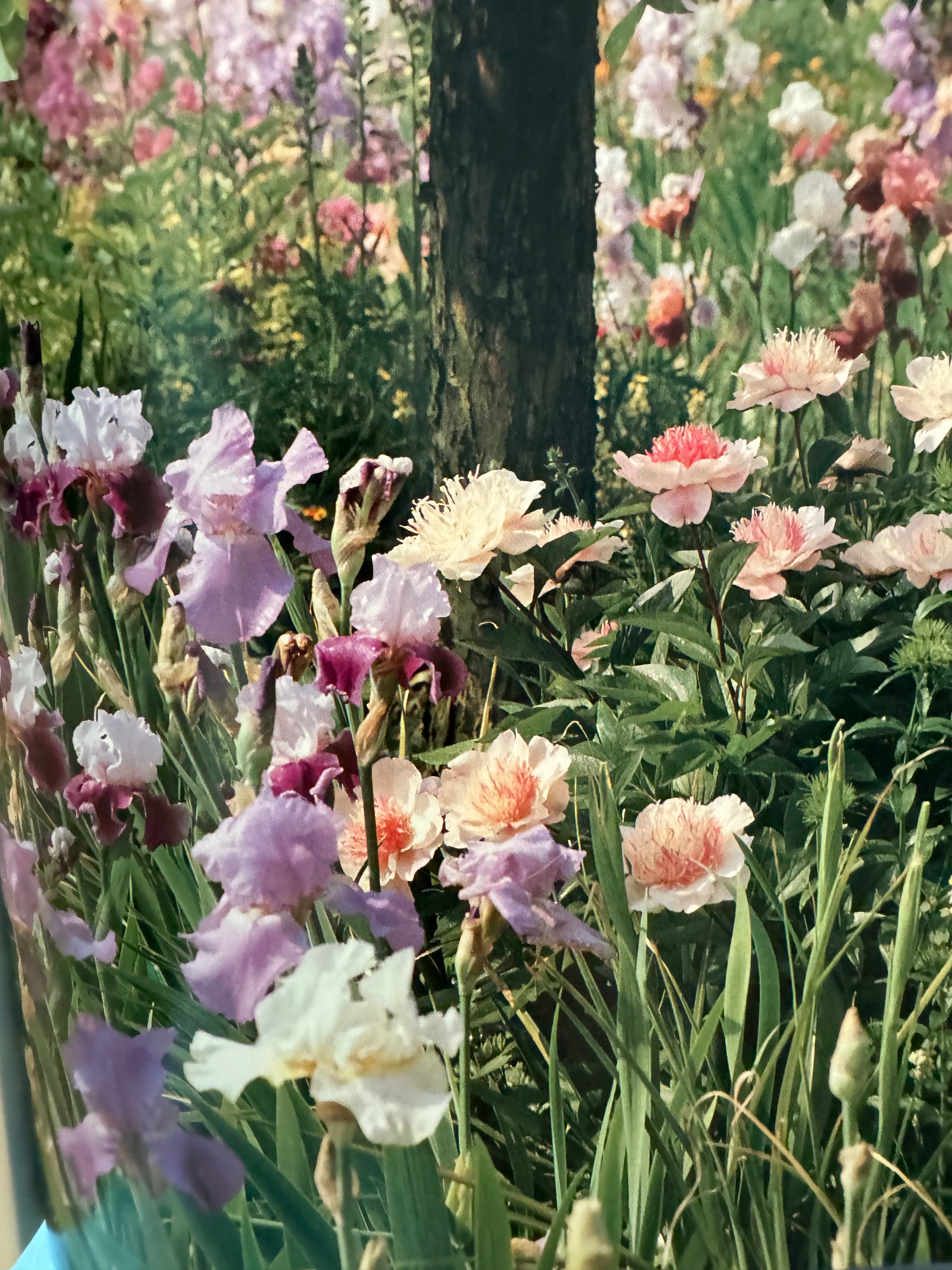 Forever Flowers Candle - Tester