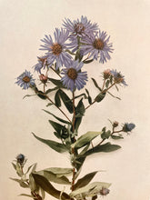 Load image into Gallery viewer, In The Weeds Candle
