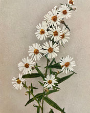 Load image into Gallery viewer, In The Weeds Candle
