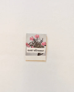 Wild Pink (Silene caroliniana) - Botanical Matches