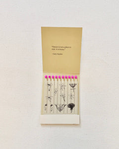 Wild Pink (Silene caroliniana) - Botanical Matches