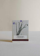 Blue Flower  (Dasystephana andrewsii) Botanical Matches