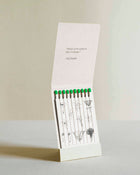 Day Lily - Botanical Matches - Limited Edition