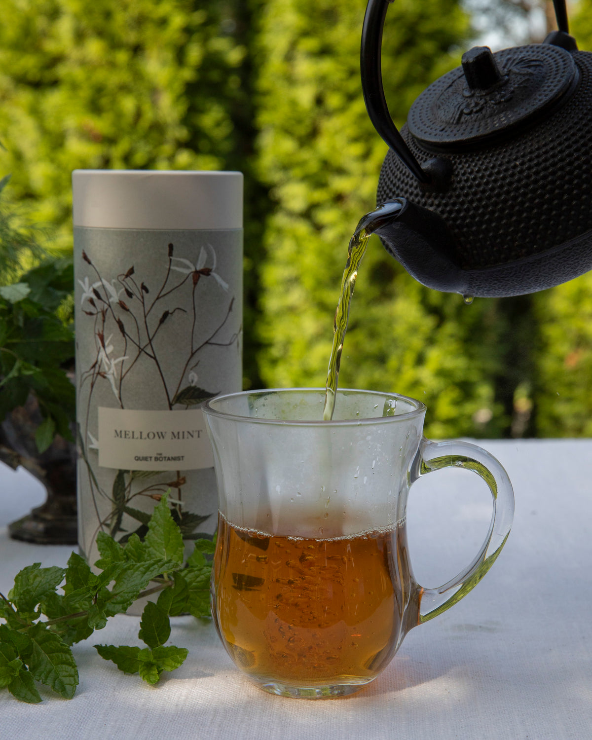 Mello Tea Mellow Mint Tea Giftset | thequietbotanist