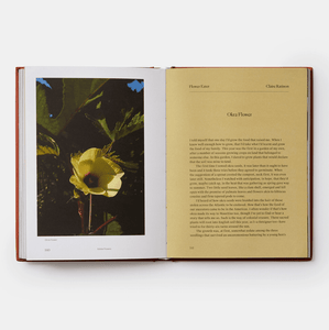 Edible Flowers: How, Why, and When We Eat Flowers by Monica Nelson; photographs by Adrianna Glaviano | thequietbotanist