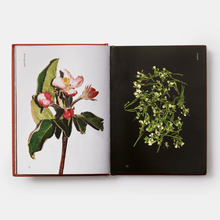 Load image into Gallery viewer, Edible Flowers: How, Why, and When We Eat Flowers by Monica Nelson; photographs by Adrianna Glaviano | thequietbotanist
