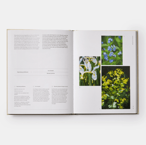 The Seasonal Gardener: Creative Planting Combinations by Anna Pavord | thequietbotanist