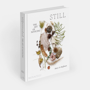 STILL - The Art of Noticing