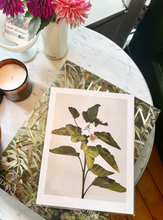 Load image into Gallery viewer, Vintage Botanical Print
