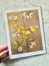 Load image into Gallery viewer, Vintage Botanical Print
