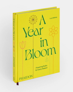 A Year in Bloom: Flowering Bulbs for Every Season