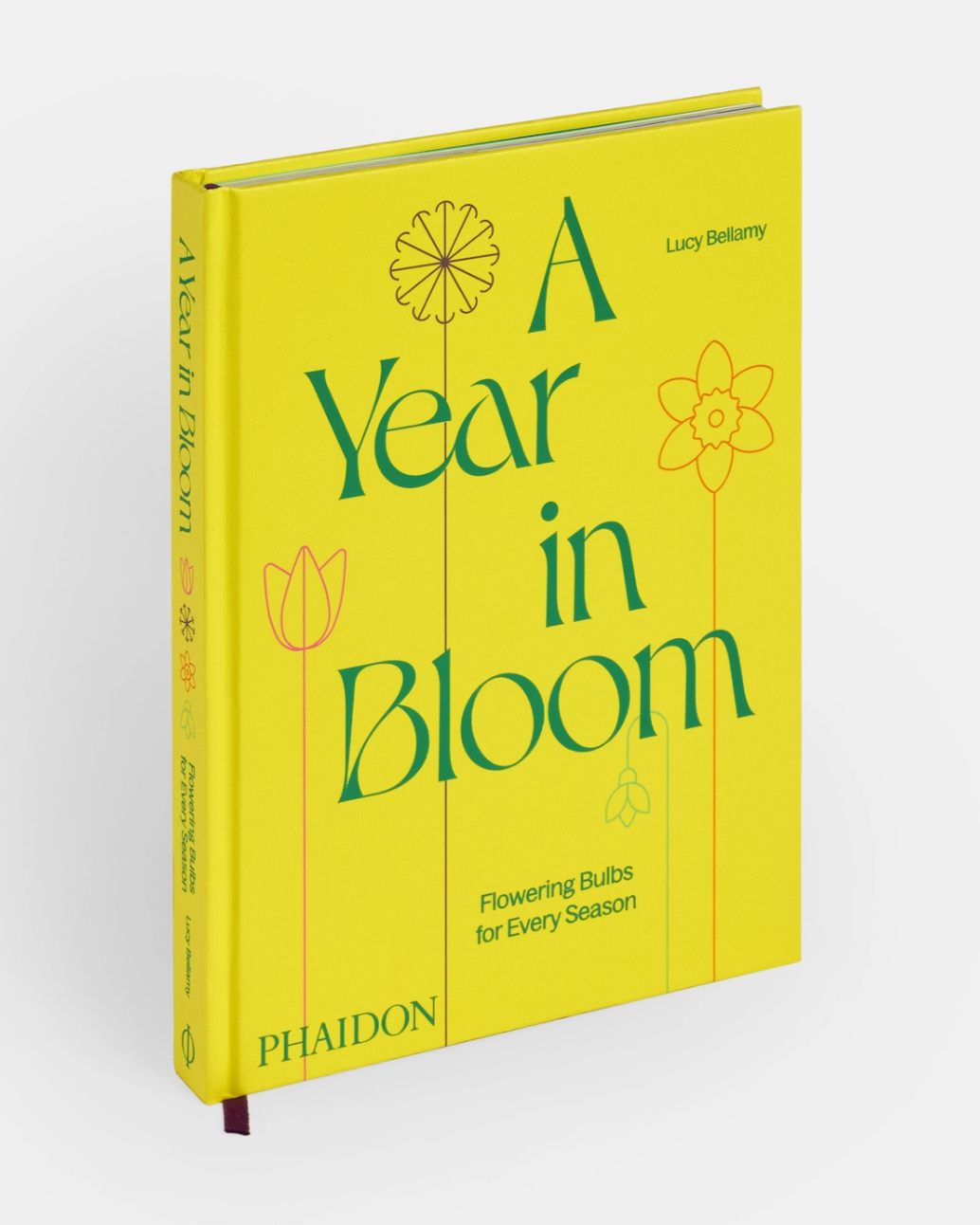 A Year in Bloom: Flowering Bulbs for Every Season