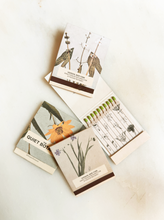 Load image into Gallery viewer, Golden Finch - Botanical Matches
