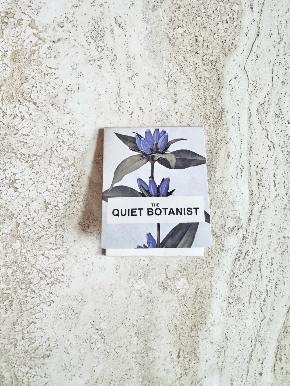 Blue Flower  (Dasystephana andrewsii)- Botanical Matches