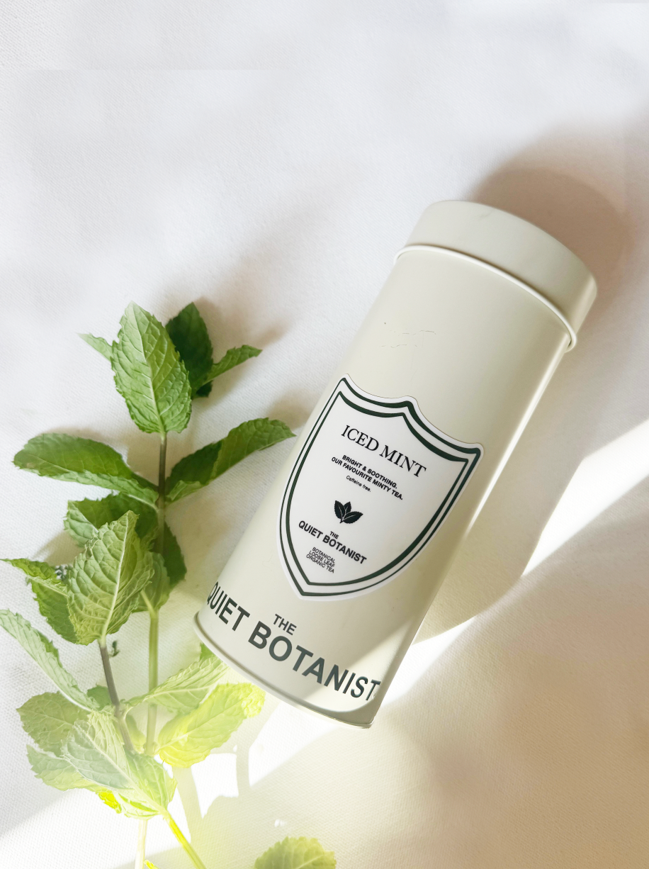 Iced Mint Tea