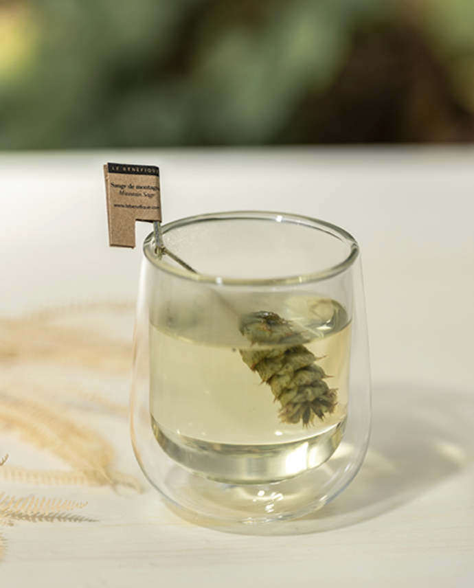 Mountain Sage Organic Tea