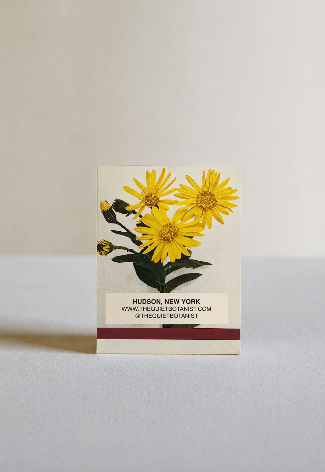 Spring Duck Botanical Matches
