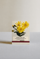 Spring Duck Botanical Matches