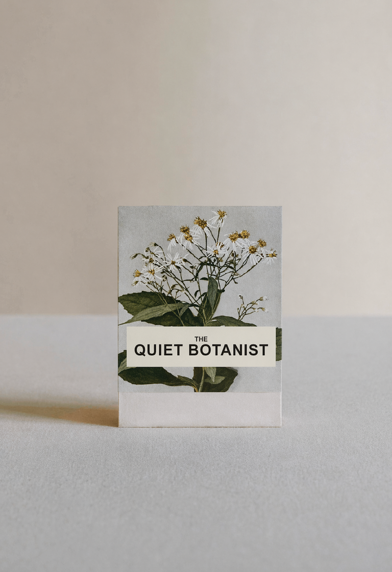 Spring Wild Aster Botanical Matches