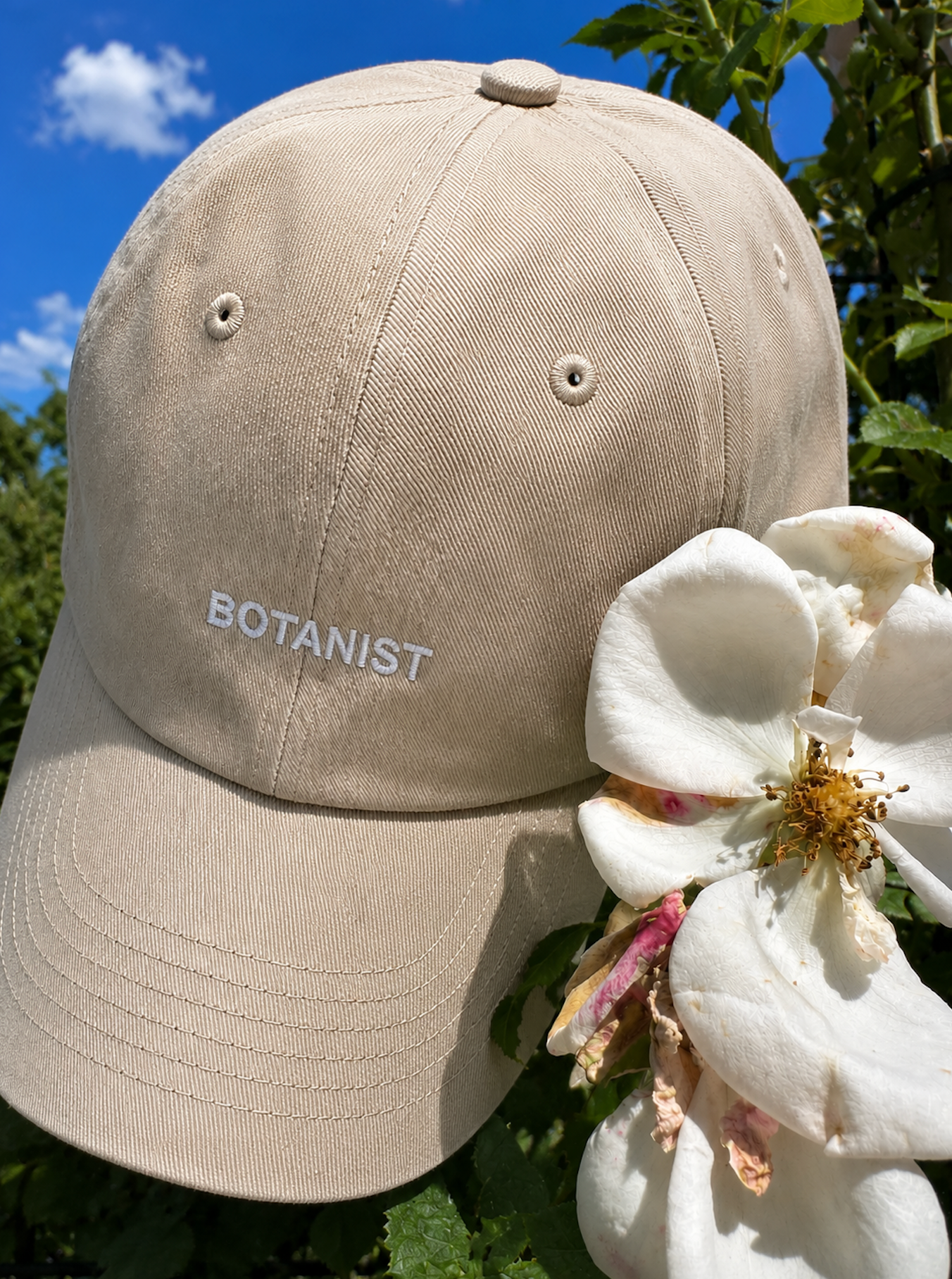 NEW! The Quiet Botanist hat in cream.