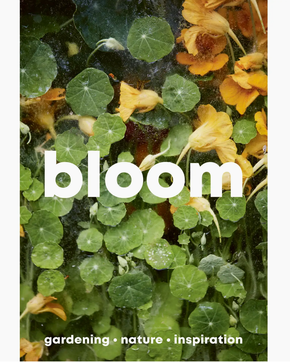 Bloom Magazine - Issue 15