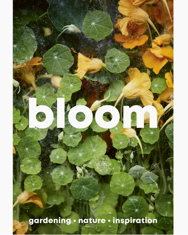 Bloom Magazine - Issue 15