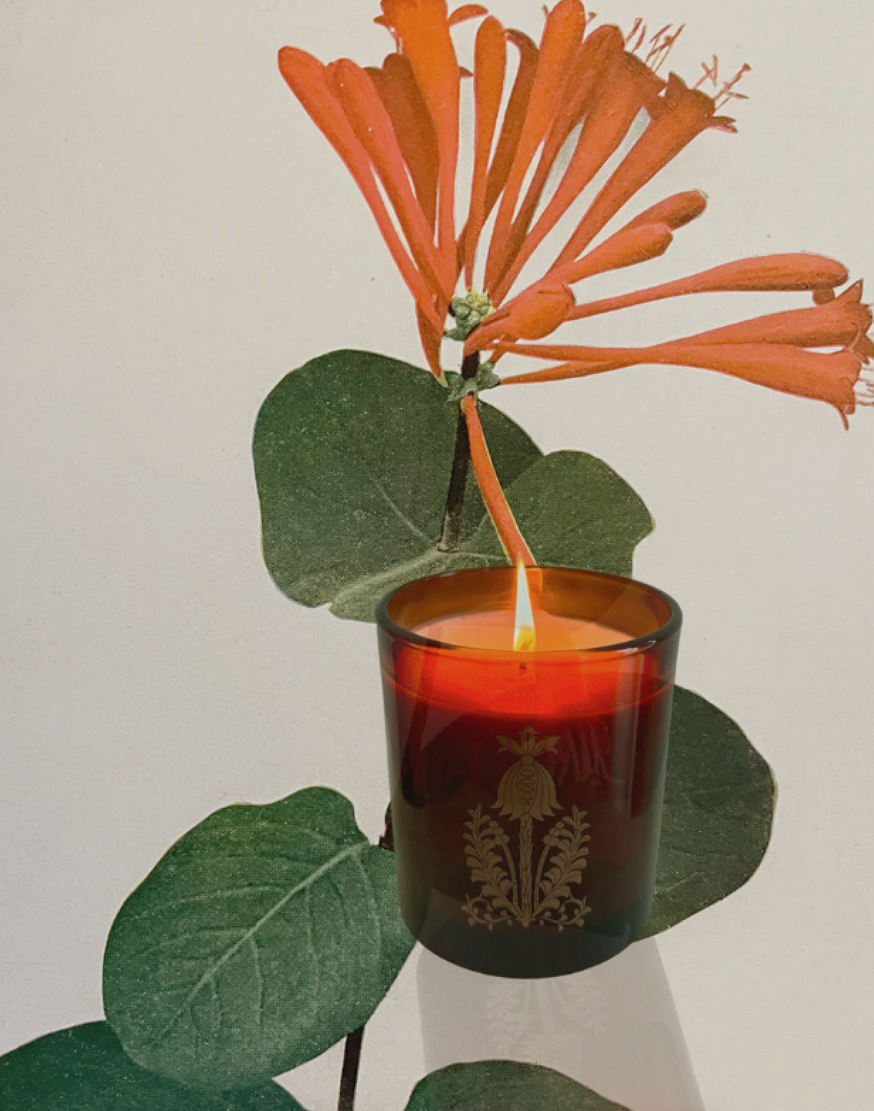 Forever Flowers Candle - Set of six