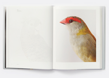 Load image into Gallery viewer, Bird Love - LEILA JEFFREYS
