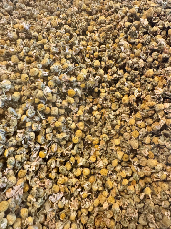 Chamomile Tea - Set of 12