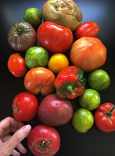 Load image into Gallery viewer, New! Home Grown Candle

