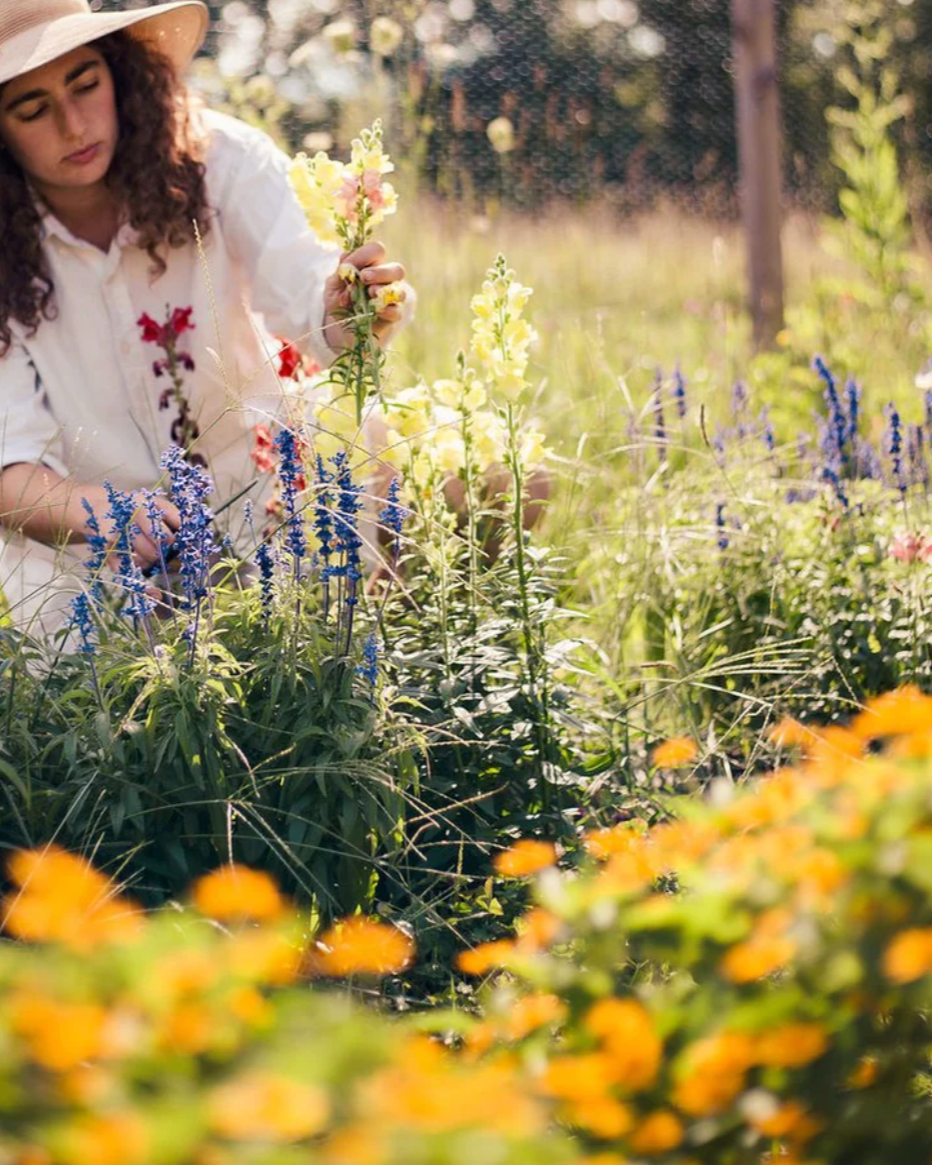 Honey Mallow - Replenishing Nectar Whip