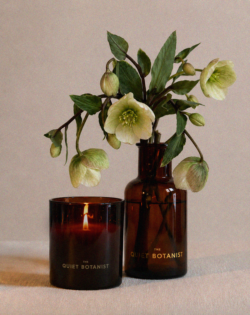 Garden Stories - Green Fig Candle