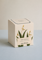 The Exotics Candle